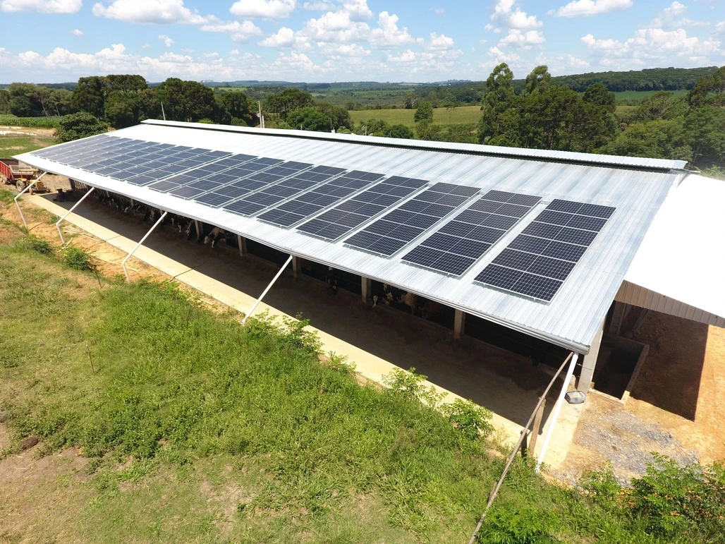 Energia Solar Rural: Economia e Sustentabilidade no Campo | Renovapower ...